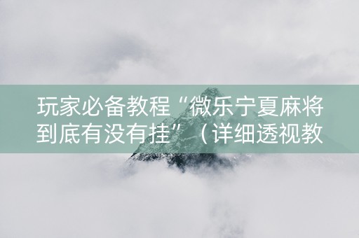 玩家必备教程“微乐宁夏麻将到底有没有挂”（详细透视教程）-哔哩哔哩