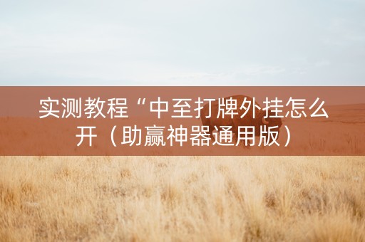 实测教程“中至打牌外挂怎么开（助赢神器通用版）