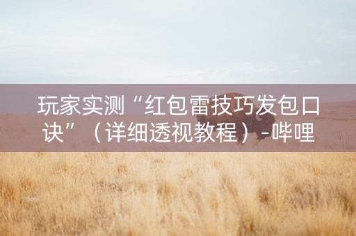 玩家实测“红包雷技巧发包口诀”（详细透视教程）-哔哩哔哩