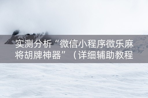实测分析“微信小程序微乐麻将胡牌神器”（详细辅助教程）-哔哩哔哩