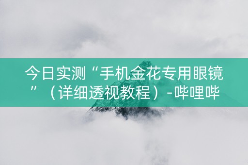 今日实测“手机金花专用眼镜”（详细透视教程）-哔哩哔哩