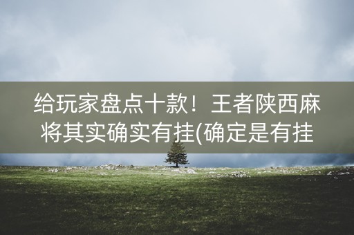 给玩家盘点十款！王者陕西麻将其实确实有挂(确定是有挂)