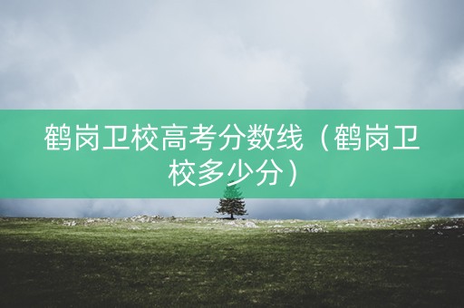 鹤岗卫校高考分数线（鹤岗卫校多少分）