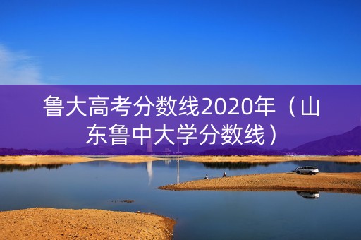 鲁大高考分数线2020年（山东鲁中大学分数线）