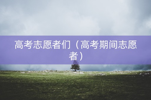 高考志愿者们（高考期间志愿者）