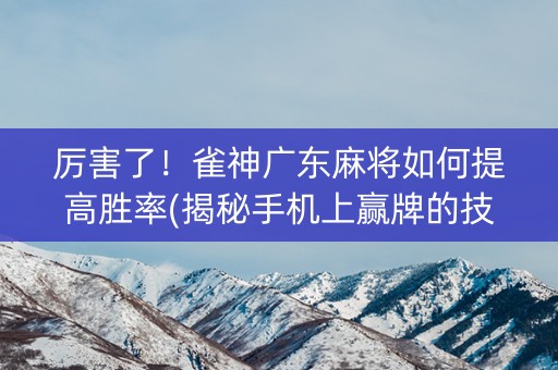 厉害了！雀神广东麻将如何提高胜率(揭秘手机上赢牌的技巧)