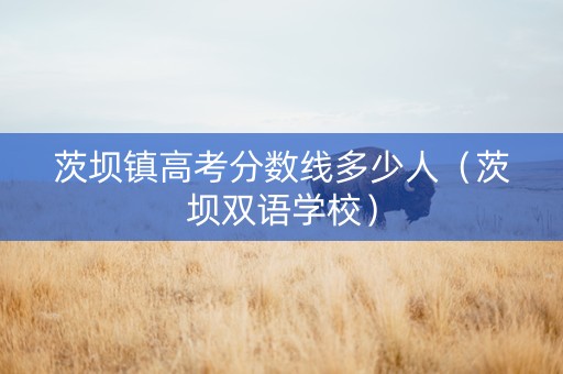 茨坝镇高考分数线多少人（茨坝双语学校）