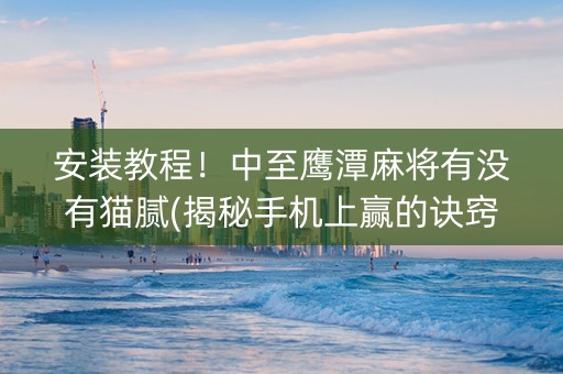 安装教程！中至鹰潭麻将有没有猫腻(揭秘手机上赢的诀窍)