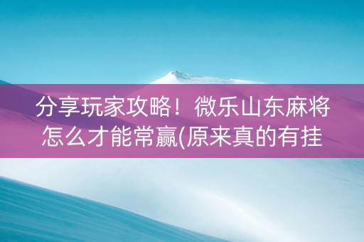 分享玩家攻略！微乐山东麻将怎么才能常赢(原来真的有挂呢)