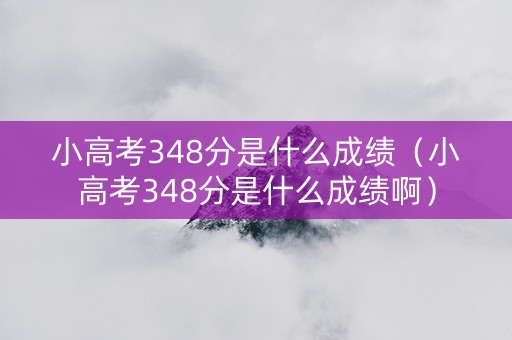 小高考348分是什么成绩（小高考348分是什么成绩啊）