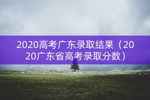 2020高考广东录取结果（2020广东省高考录取分数）