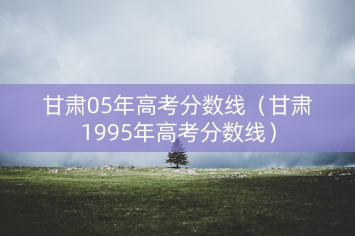 甘肃05年高考分数线（甘肃1995年高考分数线）