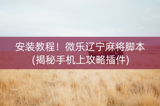 安装教程！微乐辽宁麻将脚本(揭秘手机上攻略插件)