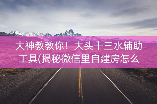 大神教教你！大头十三水辅助工具(揭秘微信里自建房怎么赢)