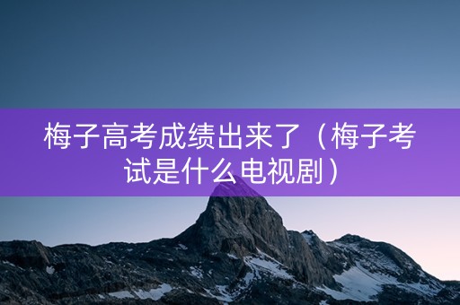 梅子高考成绩出来了（梅子考试是什么电视剧）
