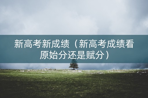 新高考新成绩（新高考成绩看原始分还是赋分）