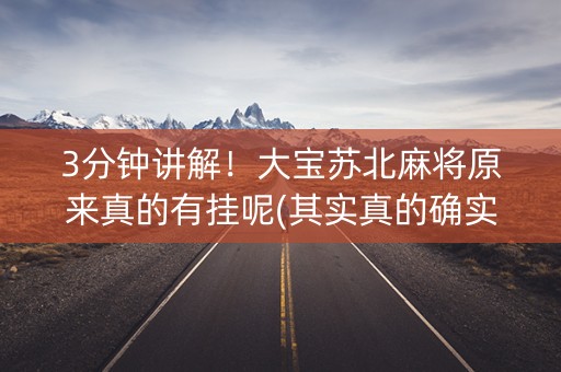 3分钟讲解！大宝苏北麻将原来真的有挂呢(其实真的确实有挂)