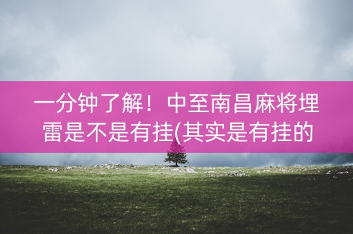 一分钟了解！中至南昌麻将埋雷是不是有挂(其实是有挂的)