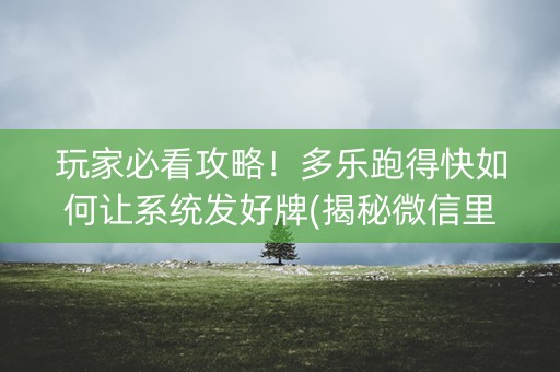 玩家必看攻略！多乐跑得快如何让系统发好牌(揭秘微信里赢牌的技巧)