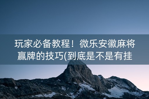 玩家必备教程！微乐安徽麻将赢牌的技巧(到底是不是有挂)