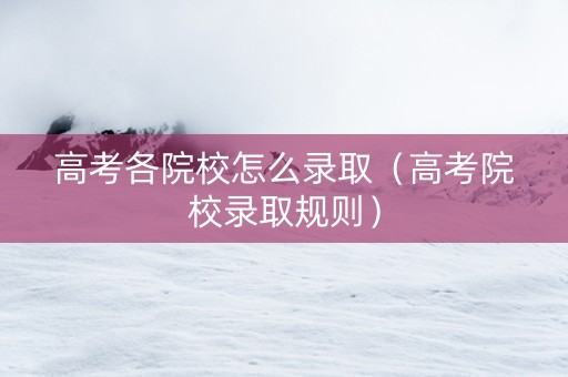 高考各院校怎么录取（高考院校录取规则）