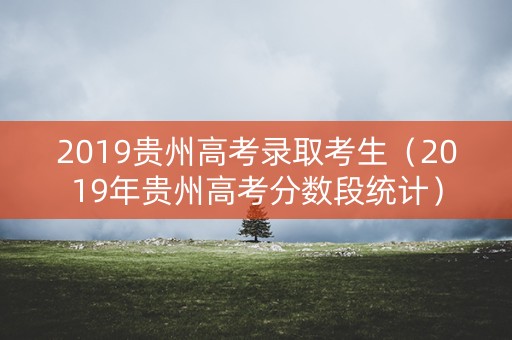 2019贵州高考录取考生（2019年贵州高考分数段统计）