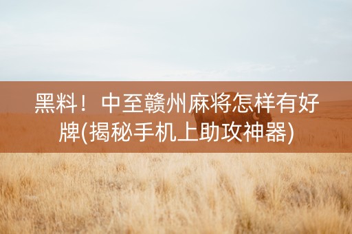黑料！中至赣州麻将怎样有好牌(揭秘手机上助攻神器)