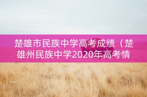 楚雄市民族中学高考成绩（楚雄州民族中学2020年高考情况）