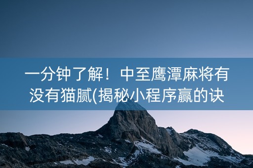 一分钟了解！中至鹰潭麻将有没有猫腻(揭秘小程序赢的诀窍)
