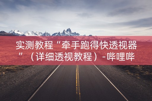 实测教程“牵手跑得快透视器”（详细透视教程）-哔哩哔哩