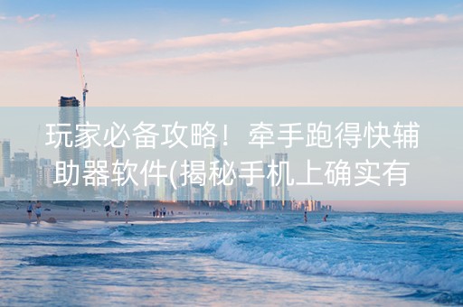 玩家必备攻略！牵手跑得快辅助器软件(揭秘手机上确实有猫腻)