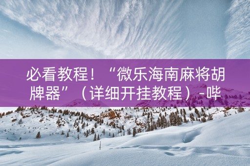 必看教程！“微乐海南麻将胡牌器”（详细开挂教程）-哔哩哔哩