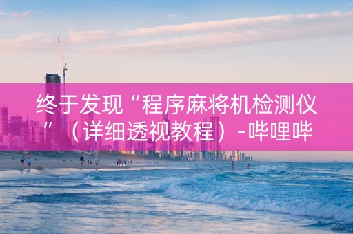 终于发现“程序麻将机检测仪”（详细透视教程）-哔哩哔哩