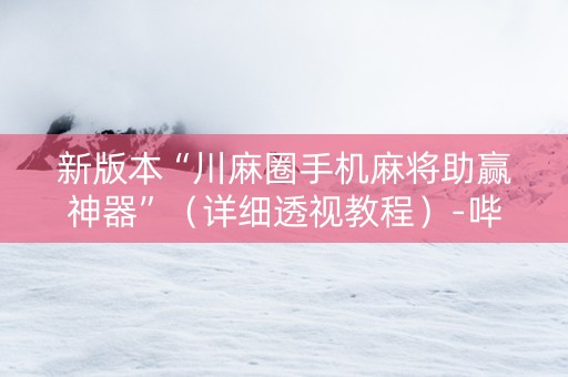 新版本“川麻圈手机麻将助赢神器”（详细透视教程）-哔哩哔哩
