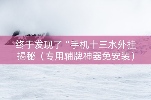 终于发现了“手机十三水外挂揭秘（专用辅牌神器免安装）