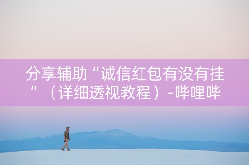 分享辅助“诚信红包有没有挂”（详细透视教程）-哔哩哔哩