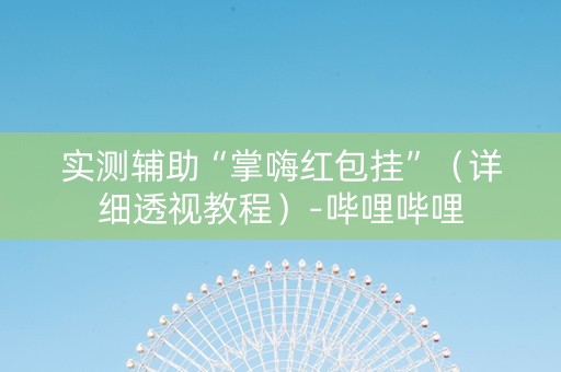 实测辅助“掌嗨红包挂”（详细透视教程）-哔哩哔哩
