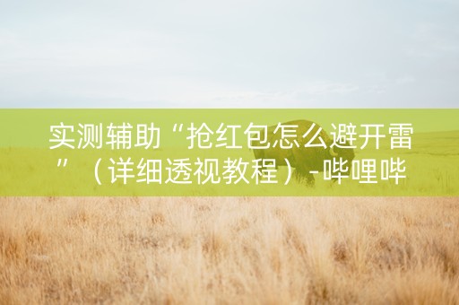 实测辅助“抢红包怎么避开雷”（详细透视教程）-哔哩哔哩