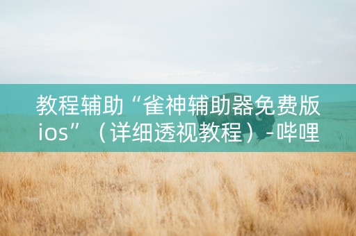 教程辅助“雀神辅助器免费版ios”（详细透视教程）-哔哩哔哩