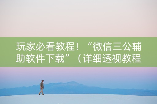 玩家必看教程！“微信三公辅助软件下载”（详细透视教程）-哔哩哔哩