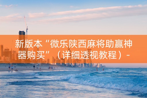 新版本“微乐陕西麻将助赢神器购买”（详细透视教程）-哔哩哔哩