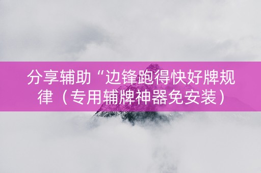 分享辅助“边锋跑得快好牌规律（专用辅牌神器免安装）