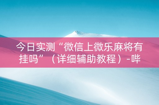 今日实测“微信上微乐麻将有挂吗”（详细辅助教程）-哔哩哔哩