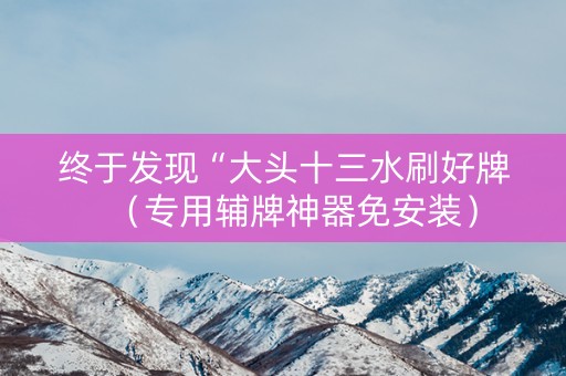 终于发现“大头十三水刷好牌（专用辅牌神器免安装）