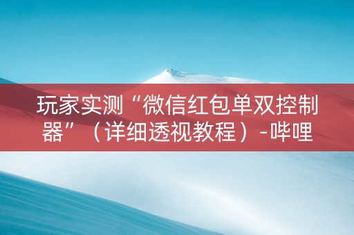 玩家实测“微信红包单双控制器”（详细透视教程）-哔哩哔哩