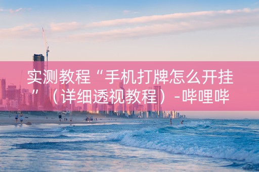 实测教程“手机打牌怎么开挂”（详细透视教程）-哔哩哔哩