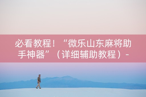 必看教程！“微乐山东麻将助手神器”（详细辅助教程）-哔哩哔哩