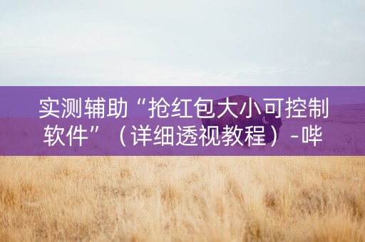 实测辅助“抢红包大小可控制软件”（详细透视教程）-哔哩哔哩