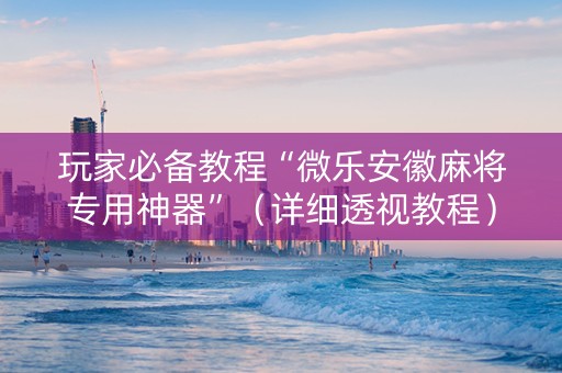 玩家必备教程“微乐安徽麻将专用神器”（详细透视教程）-哔哩哔哩