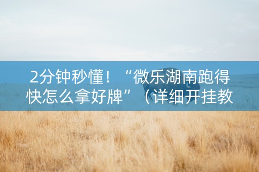 2分钟秒懂！“微乐湖南跑得快怎么拿好牌”（详细开挂教程）-哔哩哔哩